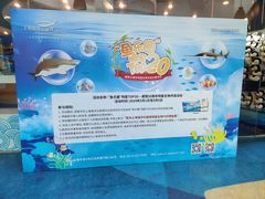 -上海海洋水族馆