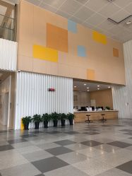 -上海交通大学医学院附属上海儿童医学中心(陆家嘴总院区)