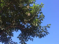 -山东大学(兴隆山校区)