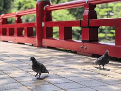 -天王寺公园
