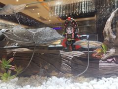 -红辣椒·川菜·火锅(张杨路店)