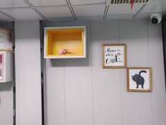 -半岛宠物医院24小时(科华中路店)
