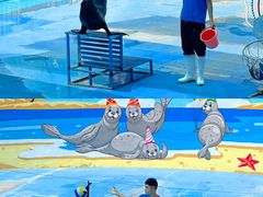 -五龙山野生动物王国