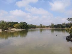 -盐城丹顶鹤湿地生态旅游区