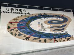 -昆明动物博物馆