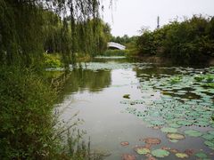 -禹州森林植物园