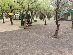 -尚庄度假村·庭台树下·户外烧烤·团建CS·轰趴营地(上庄水库店)