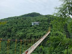 -川西竹海景区