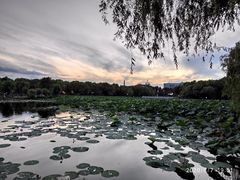 -长春市南湖公园