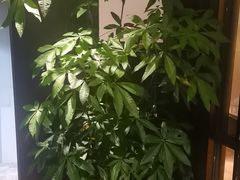 -阿伟海鲜楼·福建菜(涵江店)