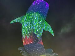 -珠海长隆海洋王国