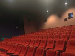 -金逸影城(荟聚IMAX激光店)