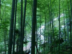 -山沟沟景区