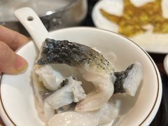 -渔意坊·千层无骨鱼粥底火锅·20年顺德菜(普君店)
