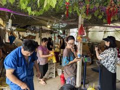 -马陆小张葡萄园农家乐