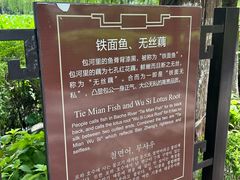 -包公祠