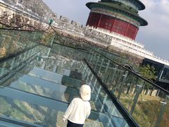 -黄贤森林公园