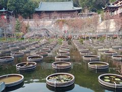 -石峰岩寺
