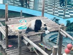 -大连森林动物园