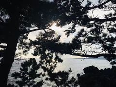 -龙头岩(Dragon Head Rock)