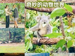 -可伦宾野生动物保护区