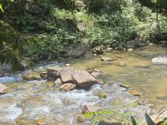 -广州白江湖森林公园