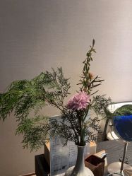 -美壹生皮肤管理中心