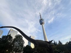 -陕西自然博物馆