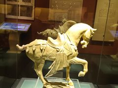 -辽宁省博物馆