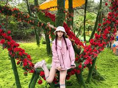 -王莽岭风景区