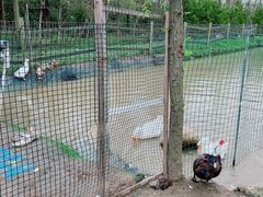 -前小桔亲子创意农场·草莓采摘·露营烧烤