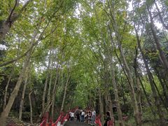 -窦圌山风景区