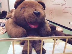 -济州岛泰迪熊博物馆