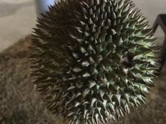 -纽顿熟食中心