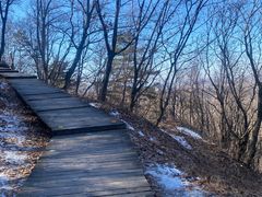 -帽儿山国家森林公园