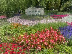 -海淀公园