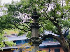 -普陀山风景名胜区-法雨禅寺