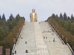 -中原大佛景区