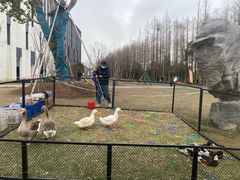 -上海长兴岛郊野公园