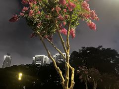 -北京广安门维景国际大酒店