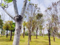-牛岗山公园