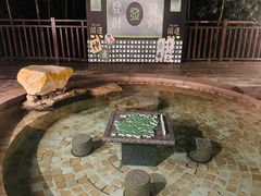 -天目湖涵田半山温泉