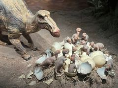 -自贡恐龙博物馆