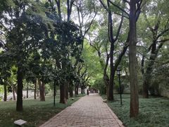 -西园戒幢律寺