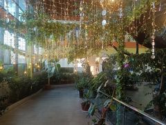 -君临七星生态酒店