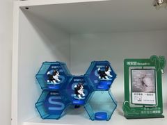 -瑞派福兴宠物医院犬猫全科·骨科·中西医结合(河东店)