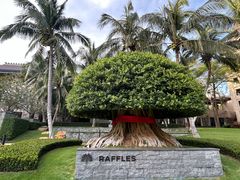 -海南清水湾莱佛士酒店