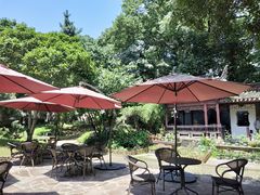 -溪口-滕头旅游景区