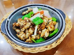 啫啫田鸡煲-煲煲掂风味煲仔饭餐厅(西区店)