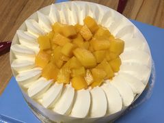 -维尔纳斯·生日蛋糕·动物奶油冰淇淋蛋糕(六里桥店)